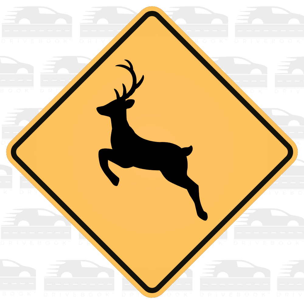 Sunday Sign Day: Deer Crossing